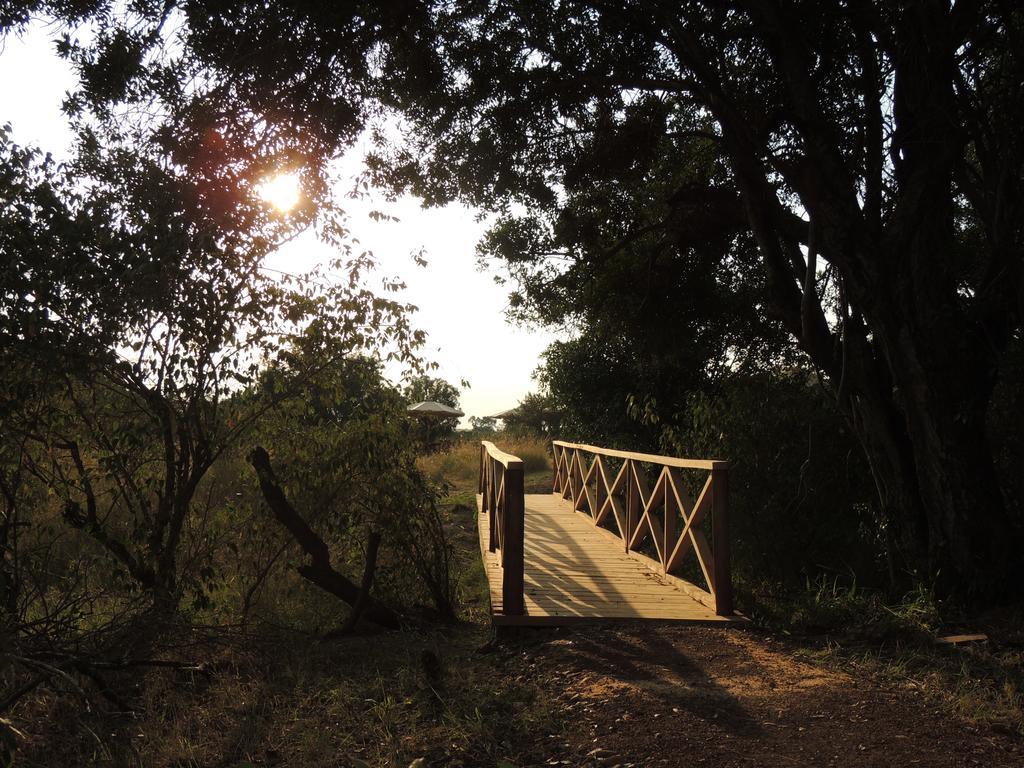 Loyk Mara Luxury Camp Hotel Maasai Mara Ngoại thất bức ảnh