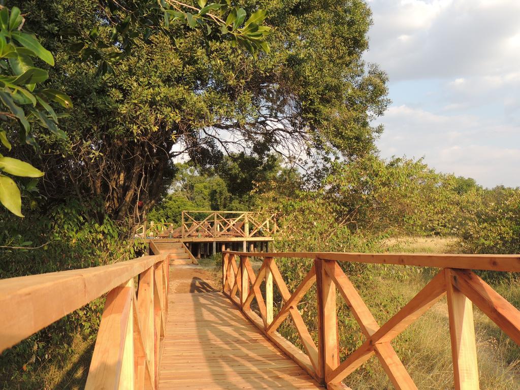 Loyk Mara Luxury Camp Hotel Maasai Mara Ngoại thất bức ảnh