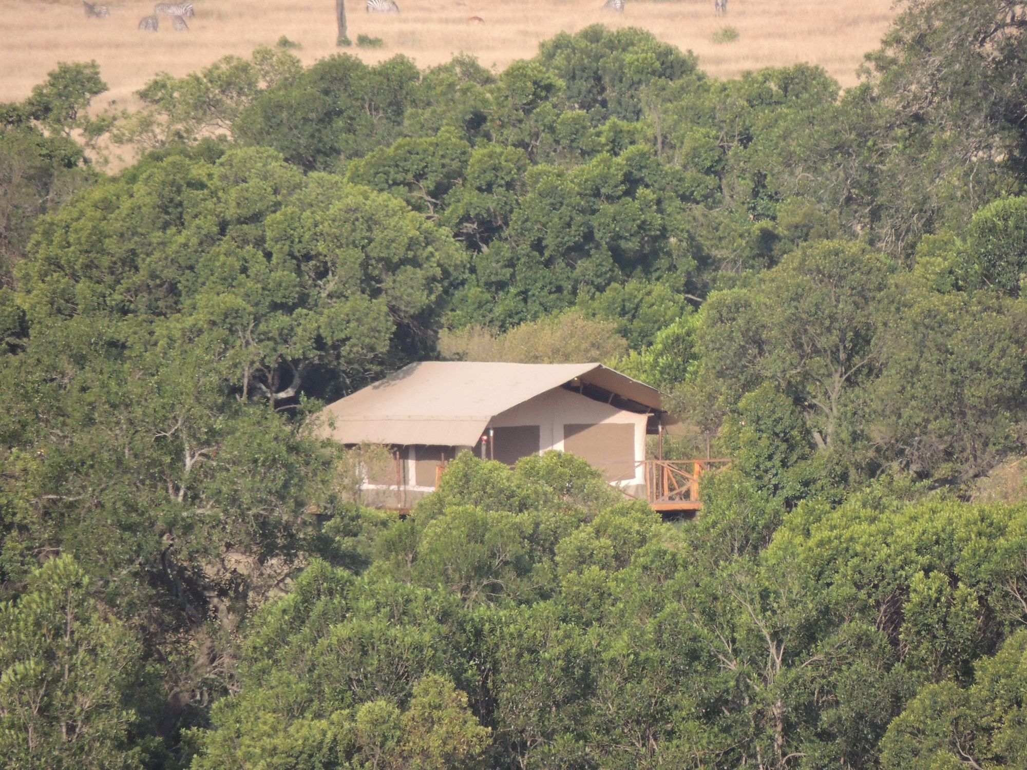Loyk Mara Luxury Camp Hotel Maasai Mara Ngoại thất bức ảnh
