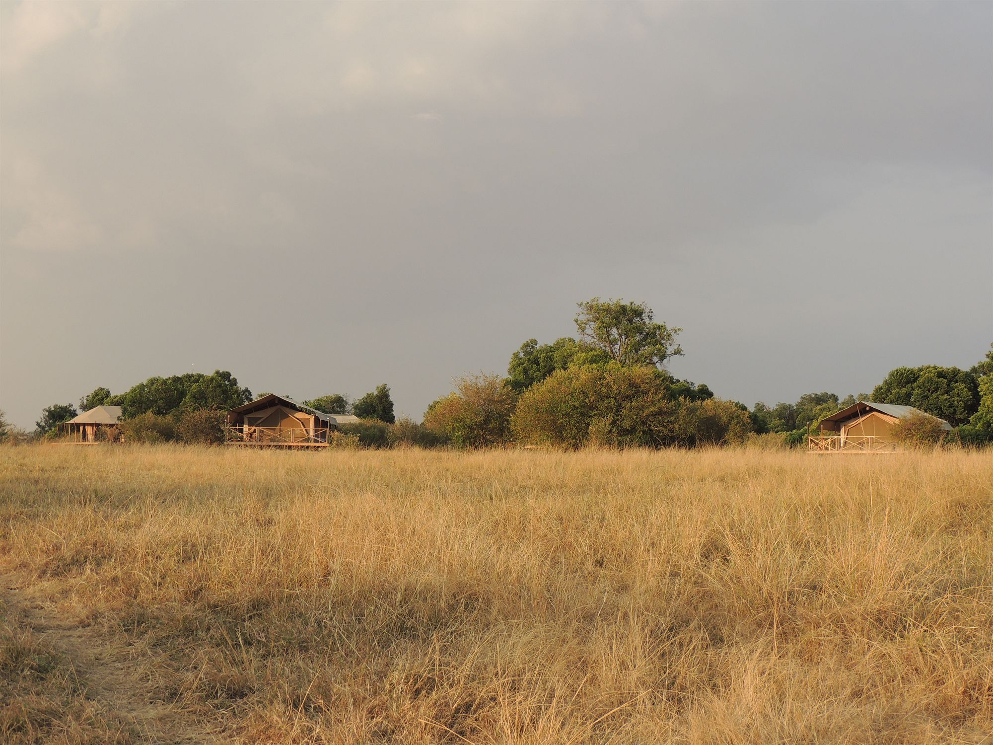 Loyk Mara Luxury Camp Hotel Maasai Mara Ngoại thất bức ảnh