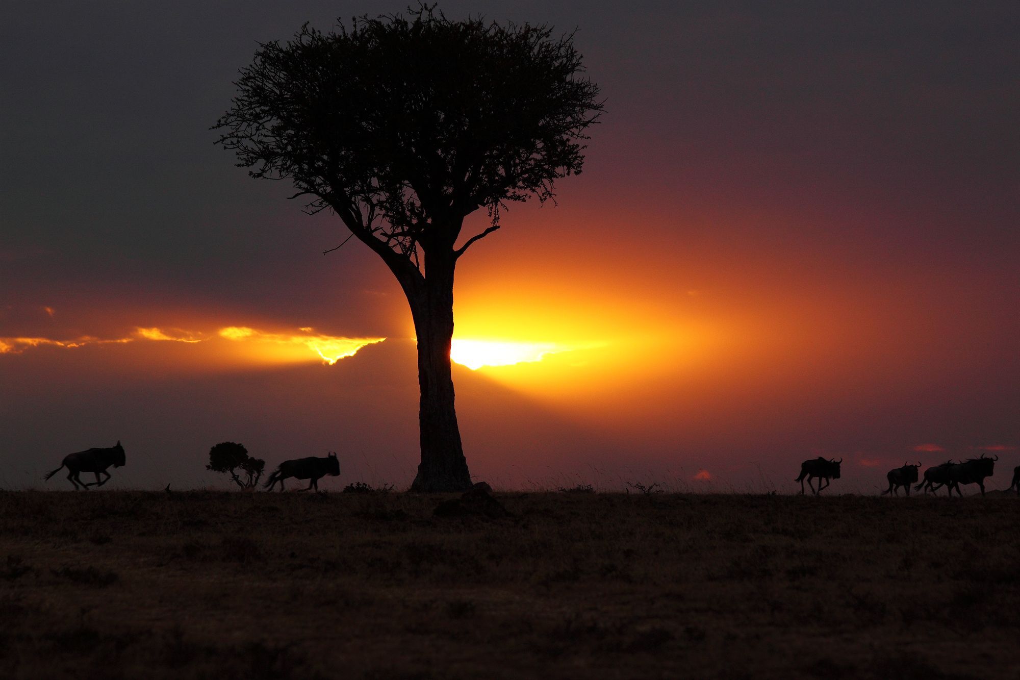 Loyk Mara Luxury Camp Hotel Maasai Mara Ngoại thất bức ảnh