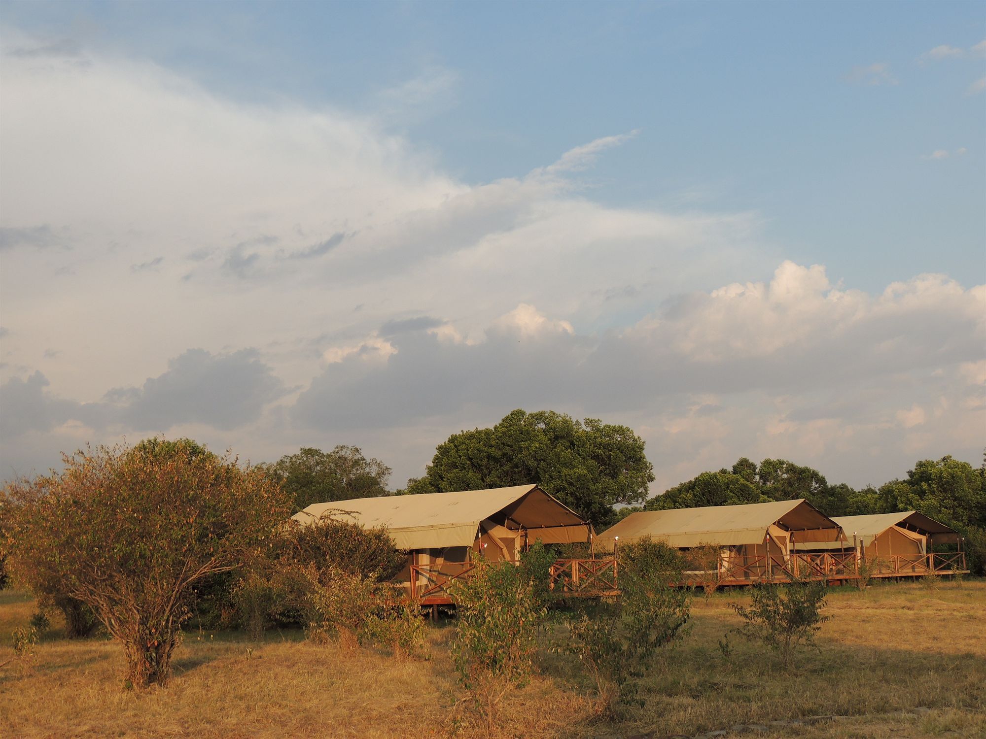 Loyk Mara Luxury Camp Hotel Maasai Mara Ngoại thất bức ảnh