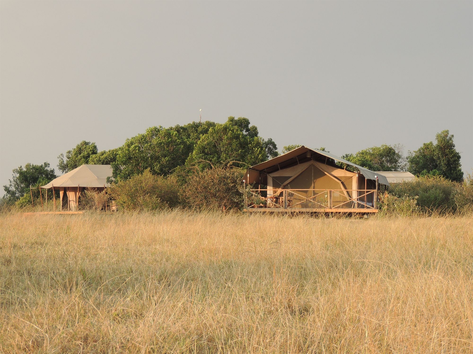 Loyk Mara Luxury Camp Hotel Maasai Mara Ngoại thất bức ảnh
