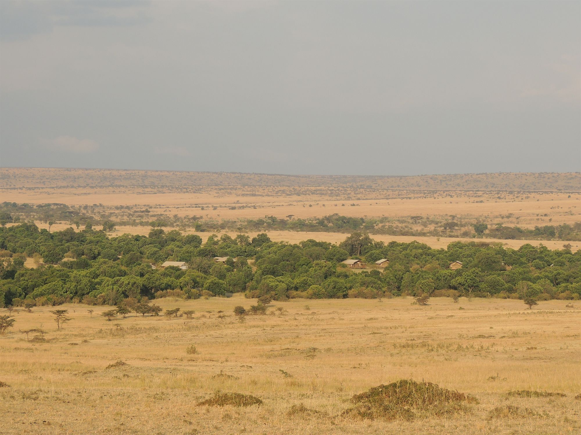 Loyk Mara Luxury Camp Hotel Maasai Mara Ngoại thất bức ảnh